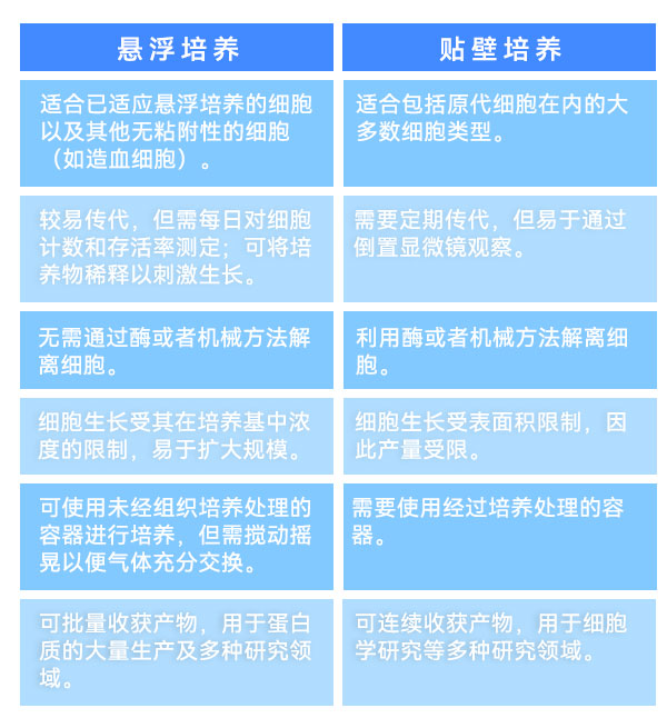 悬浮培养和贴壁培养